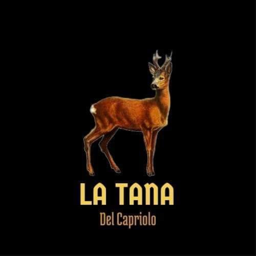 Prati di TivoLa Tana Del Caprioloアパートメント エクステリア 写真