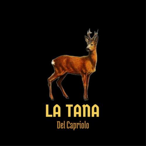 Prati di TivoLa Tana Del Caprioloアパートメント エクステリア 写真